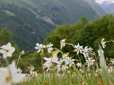 ESCURSIONI PER TUTTI NELLE VALLI MONREGALESI